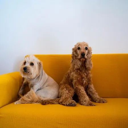 아파트 La Terrazza Di Rachele 카스텔라마레델골포